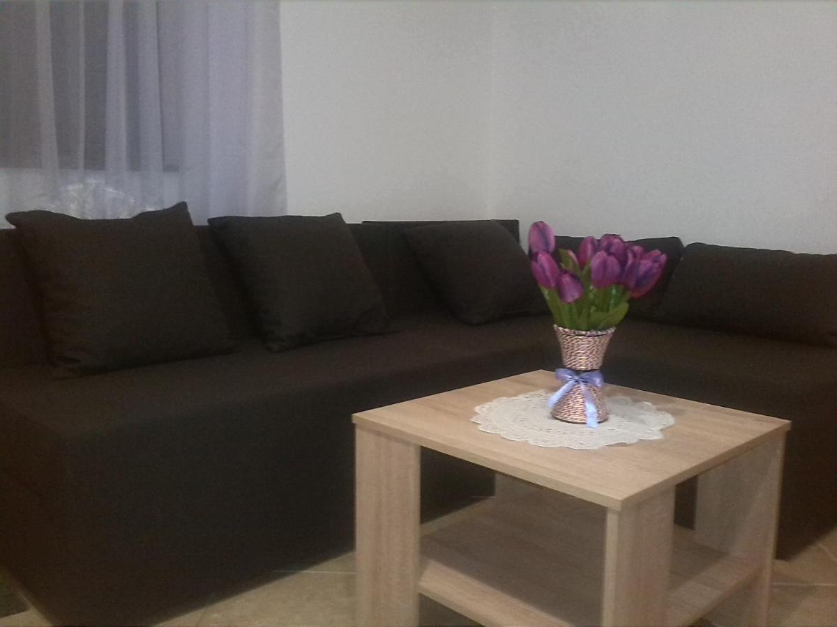 Apartman Borosa วีร์ ภายนอก รูปภาพ